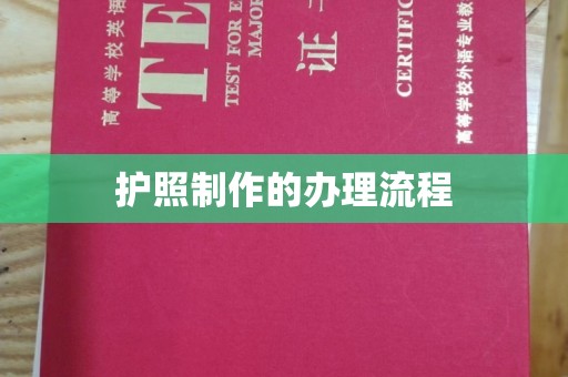 龙马潭护照制作的办理流程