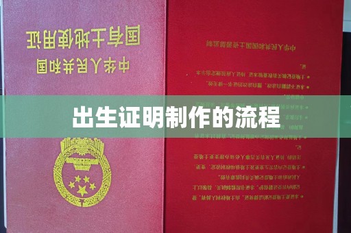 龙马潭出生证明制作的流程