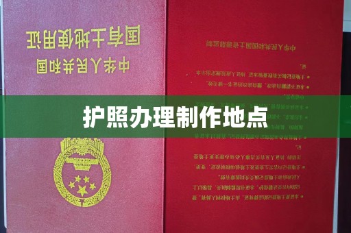 龙马潭护照办理制作地点