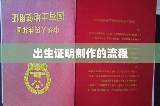 龙马潭出生证明制作的流程