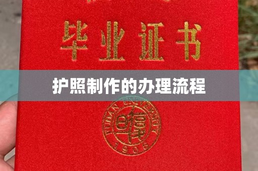 龙马潭护照制作的办理流程