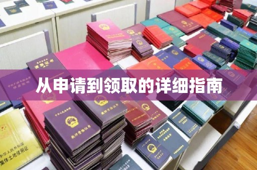 龙马潭从申请到领取的详细指南