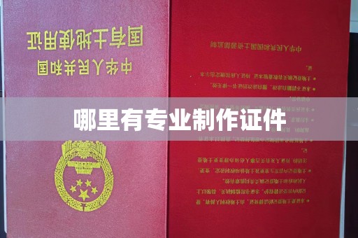 龙马潭哪里有专业制作证件