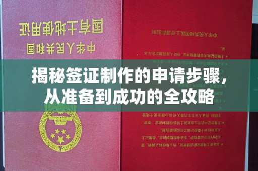龙马潭揭秘签证制作的申请步骤，从准备到成功的全攻略
