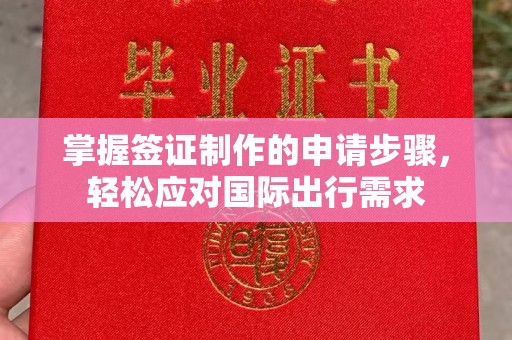 龙马潭掌握签证制作的申请步骤，轻松应对国际出行需求
