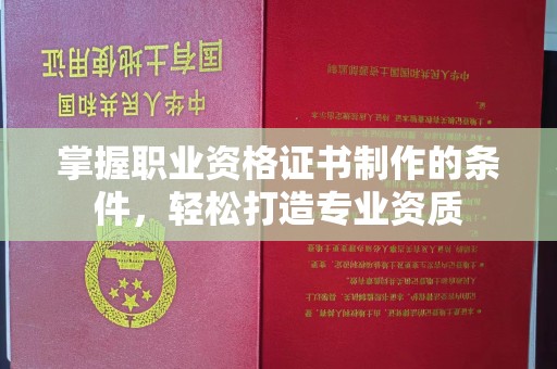 龙马潭掌握职业资格证书制作的条件，轻松打造专业资质