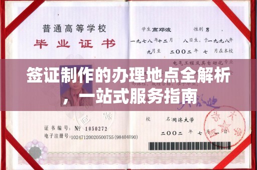龙马潭签证制作的办理地点全解析，一站式服务指南