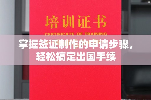 龙马潭掌握签证制作的申请步骤，轻松搞定出国手续