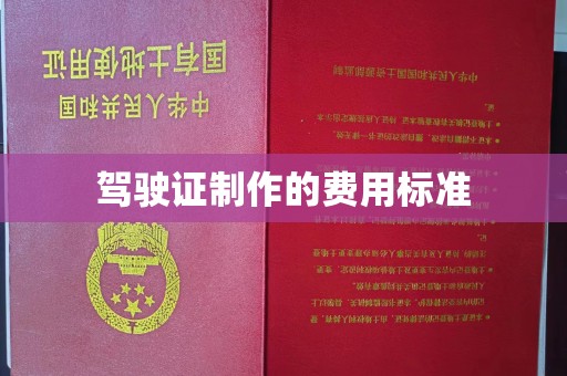 龙马潭驾驶证制作的费用标准