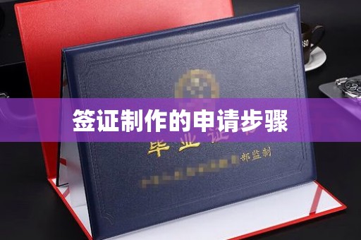 龙马潭签证制作的申请步骤