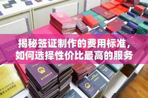 龙马潭揭秘签证制作的费用标准，如何选择性价比最高的服务？