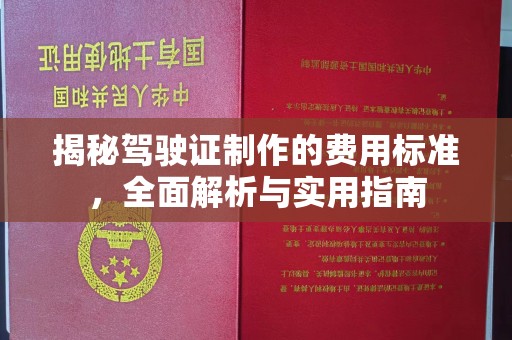 龙马潭揭秘驾驶证制作的费用标准，全面解析与实用指南