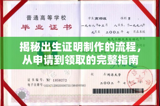 龙马潭揭秘出生证明制作的流程，从申请到领取的完整指南