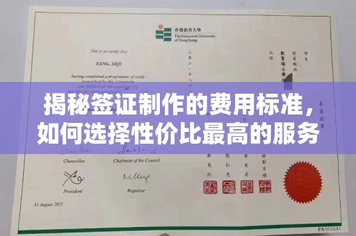 龙马潭揭秘签证制作的费用标准，如何选择性价比最高的服务？