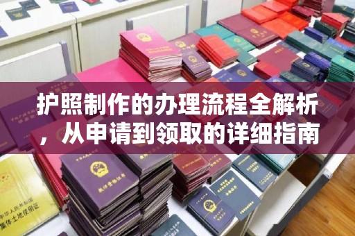 龙马潭护照制作的办理流程全解析，从申请到领取的详细指南